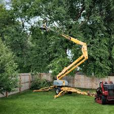 Best Lawn Mowing  in Vienna, VA