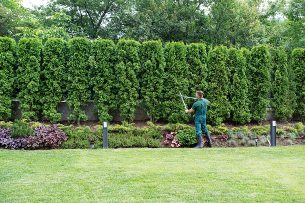 Best Grass Overseeding  in Vienna, VA