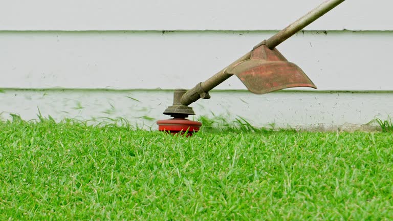 Best Lawn Irrigation Installation and Maintenance  in Vienna, VA